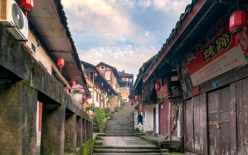逃离橡子树种植地